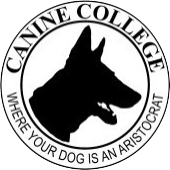 Canine College Canine College