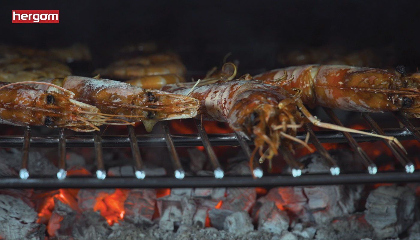 Stufe a legna con forno integrato a Verbania e Piedimulera.