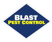 blast pest control 