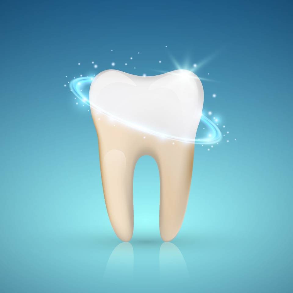 riproduzione al computer di un dente