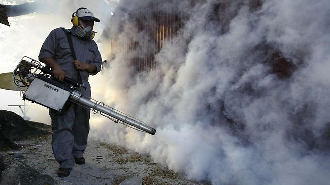 Fumigación