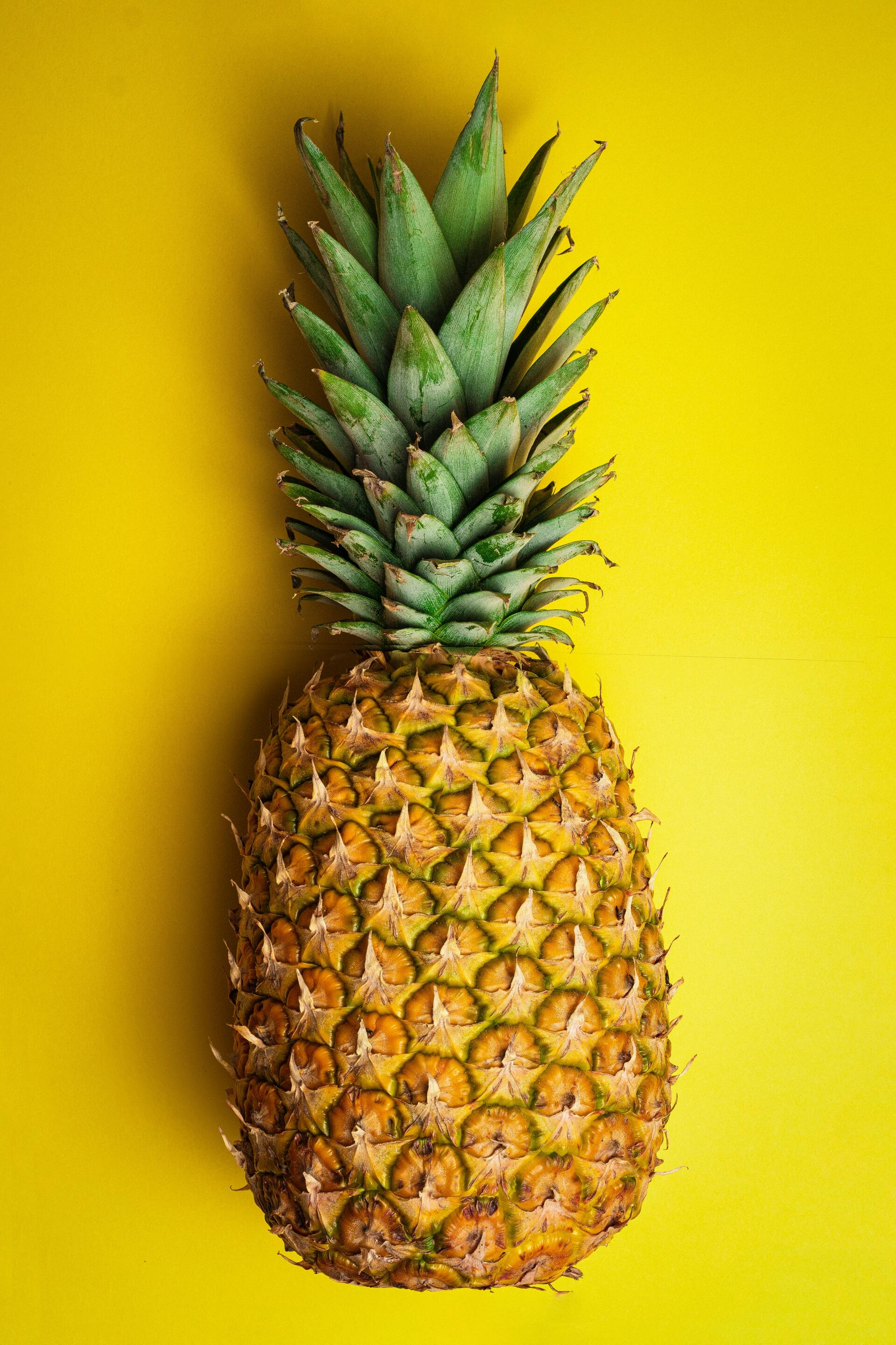 Fresh from the farm and transported in refrigerated containers to your distribution center.