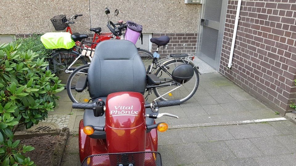 E-Rollstühle verstopfen die Zugänge Bild: © ries E-Rollstühle verstopfen die Zugänge Bild: © ries