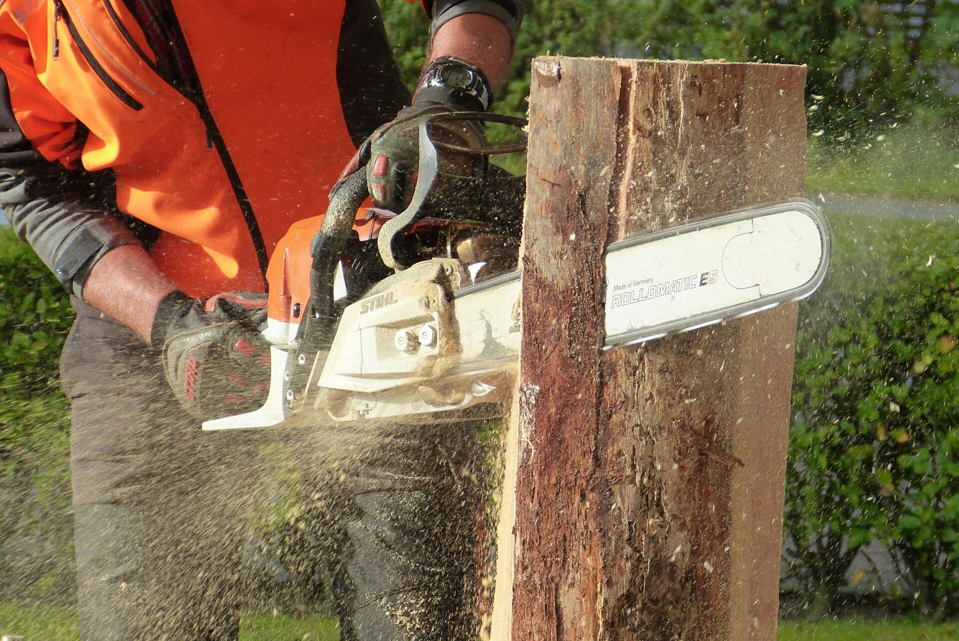 Photo of a tree stump from a tree that was removed years ago currently with moss growth in Blacktown, NSW