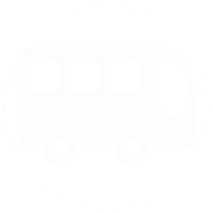 bus bus