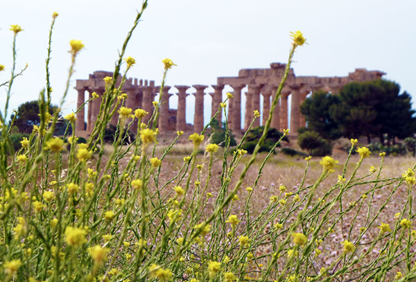 Sicilia Classica Sicilia Classica
