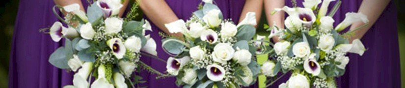How to Choose Your Bridesmaids