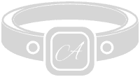 jewellery icon