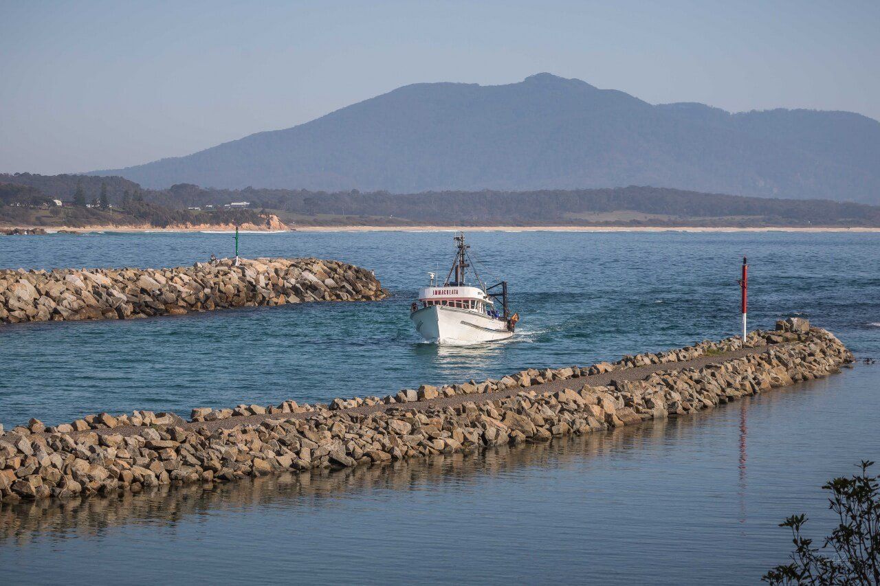 fishing in bermagui