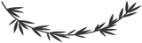 ramo