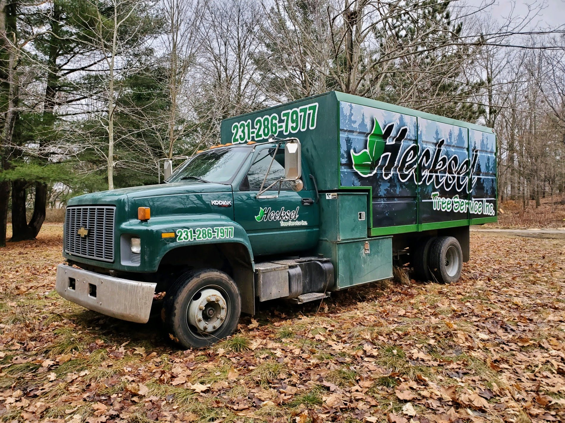 Hecksel Tree Removal