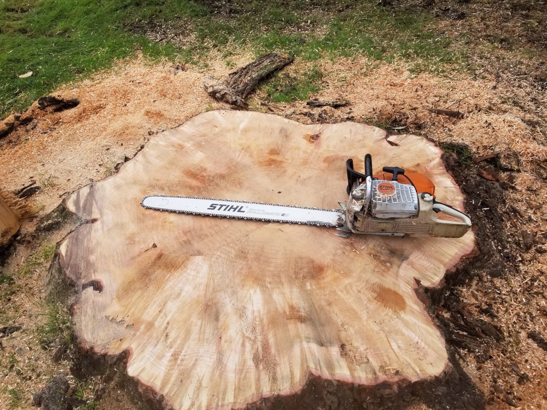 Hecksel Stump Grinding