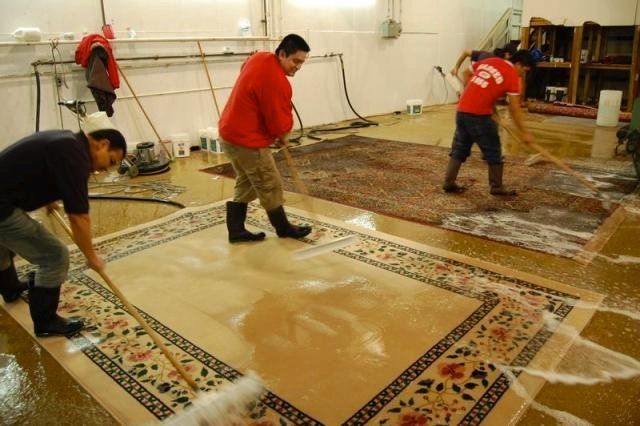 Professional Oriental Rug Cleaning. Professional Oriental Rug Cleaning.