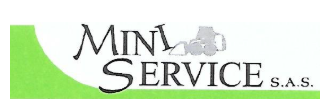 MINI SERVICE sas - LOGO
