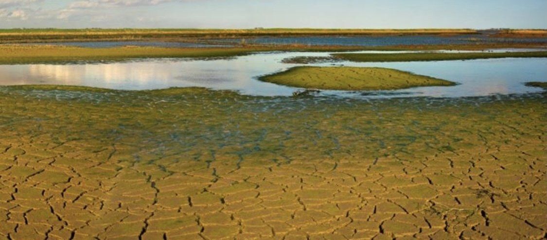 Cracked earth and a body of water with marshy green banks under a blue sky.
