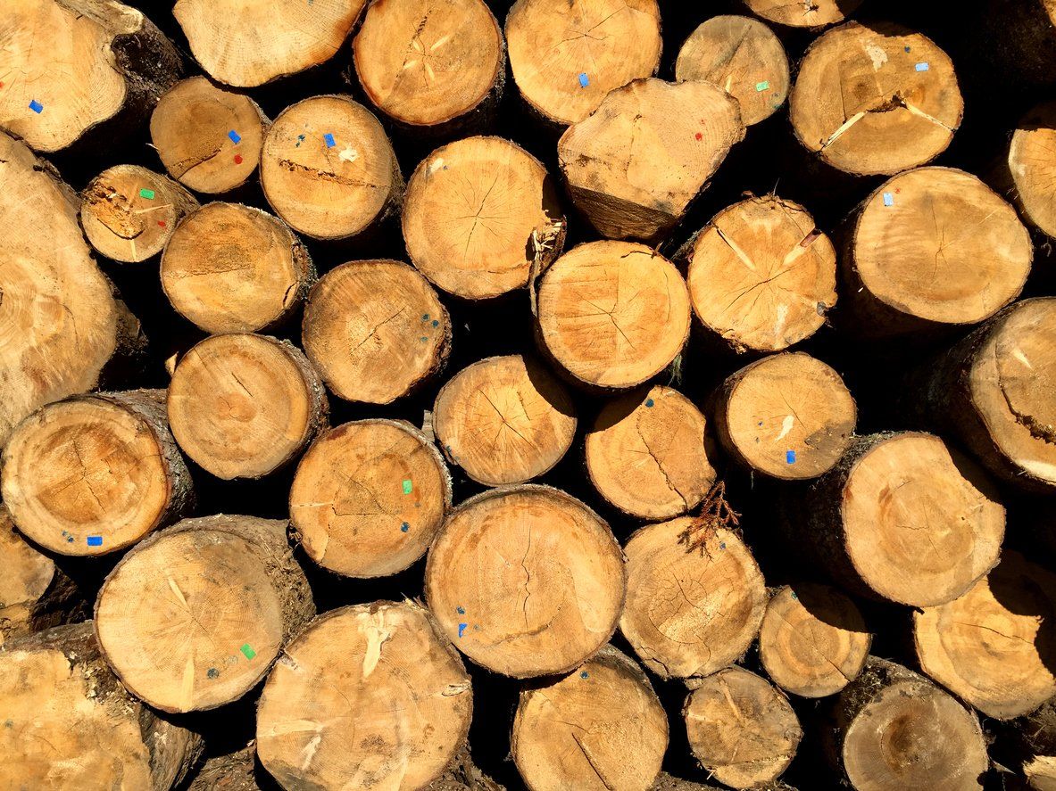 Landclearing in louisville