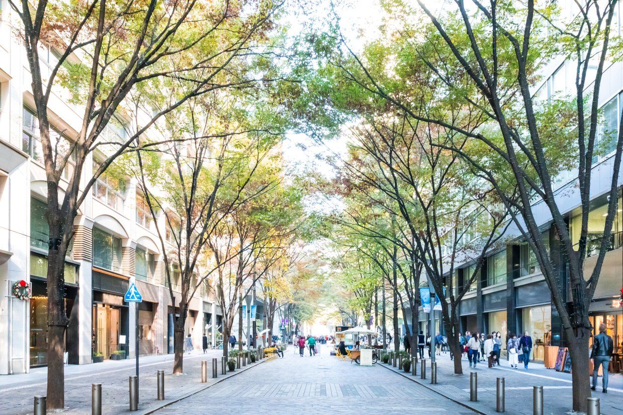 Tree-lined pedestrian street with people walking between buildings on a bright day
