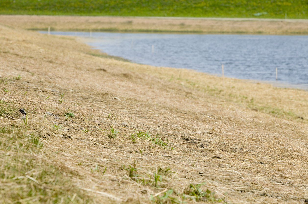 Dry grassy shoreline beside calm blue water under a pale sky.