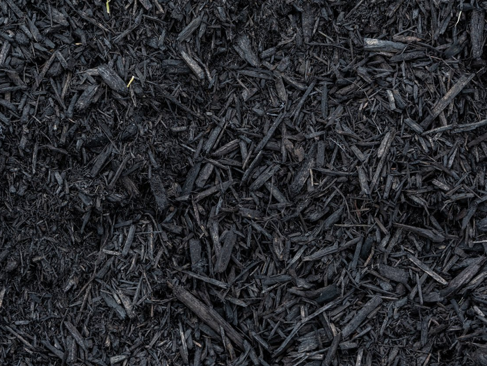 Dark shredded mulch or bark chips filling the frame
