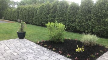 A brick walkway leading to a lush green lawn with trees in the background.