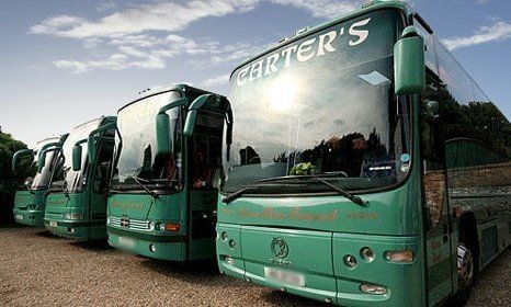 Our fleet of coaches