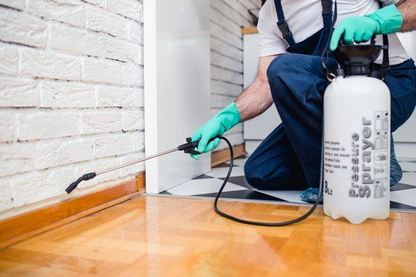 Pest Control — Man Using Pesticide in Worthington, OH
