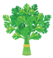 Parsley for Dogs