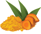 Turmeric for dogs