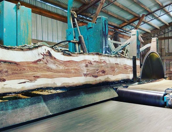 Large wood slab moving on a conveyor in an industrial sawmill with blue machinery and metal roof