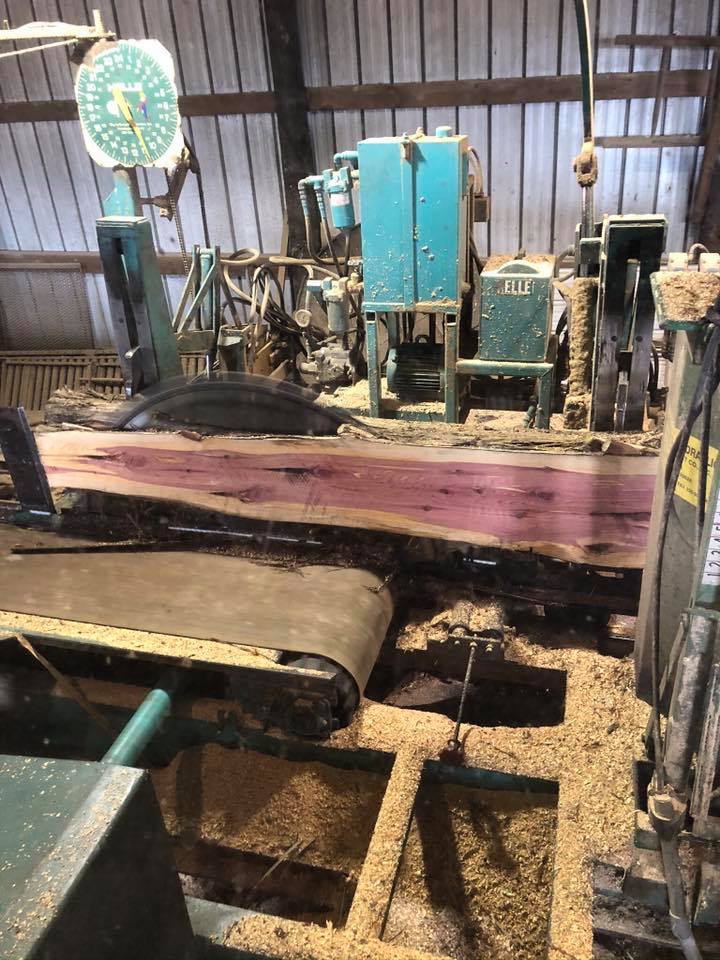 A sawmill with a log on conveyor belts and blue machinery inside a wooden shed.