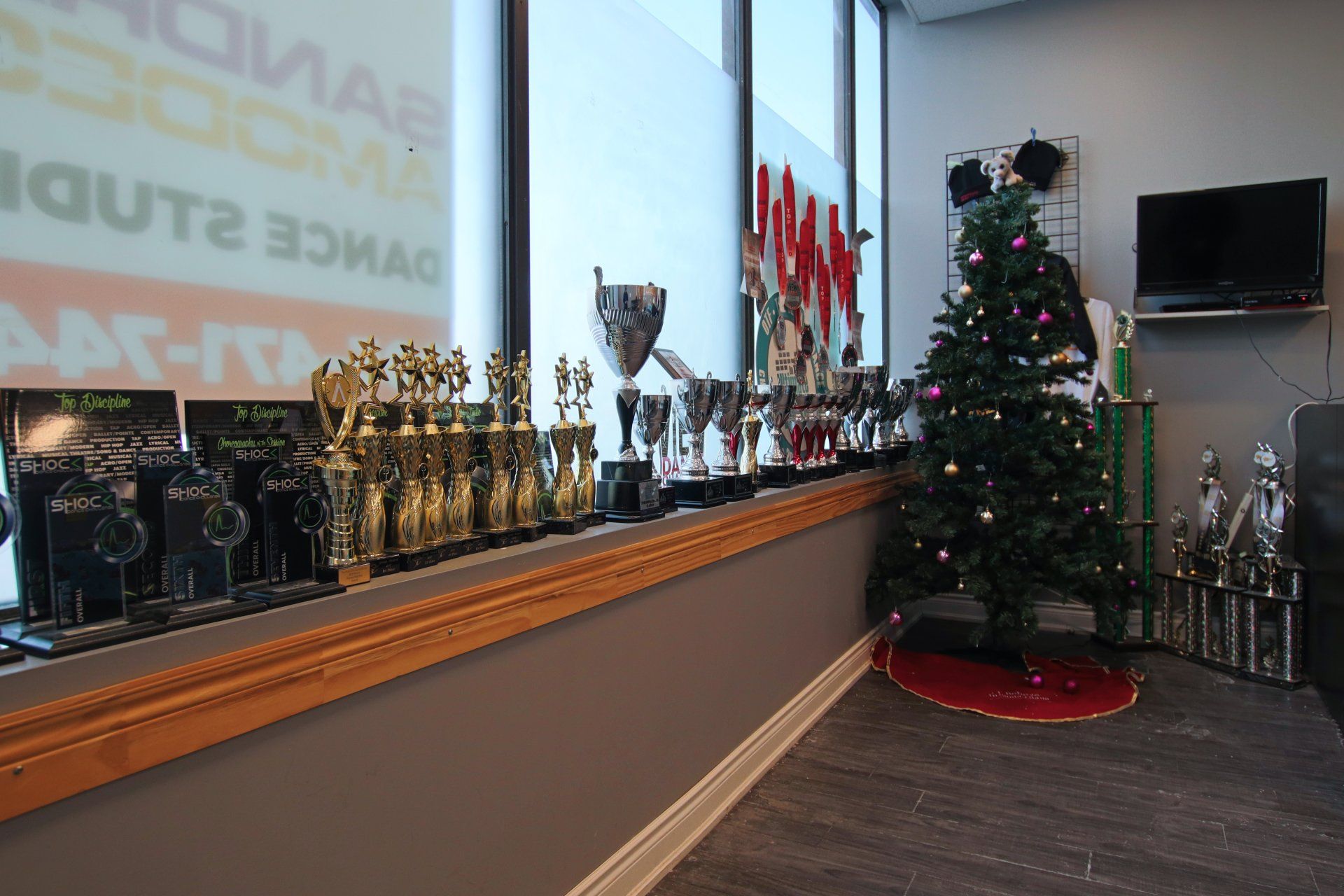 Trophy display and decorated Christmas tree in a hallway or lobby near a window.