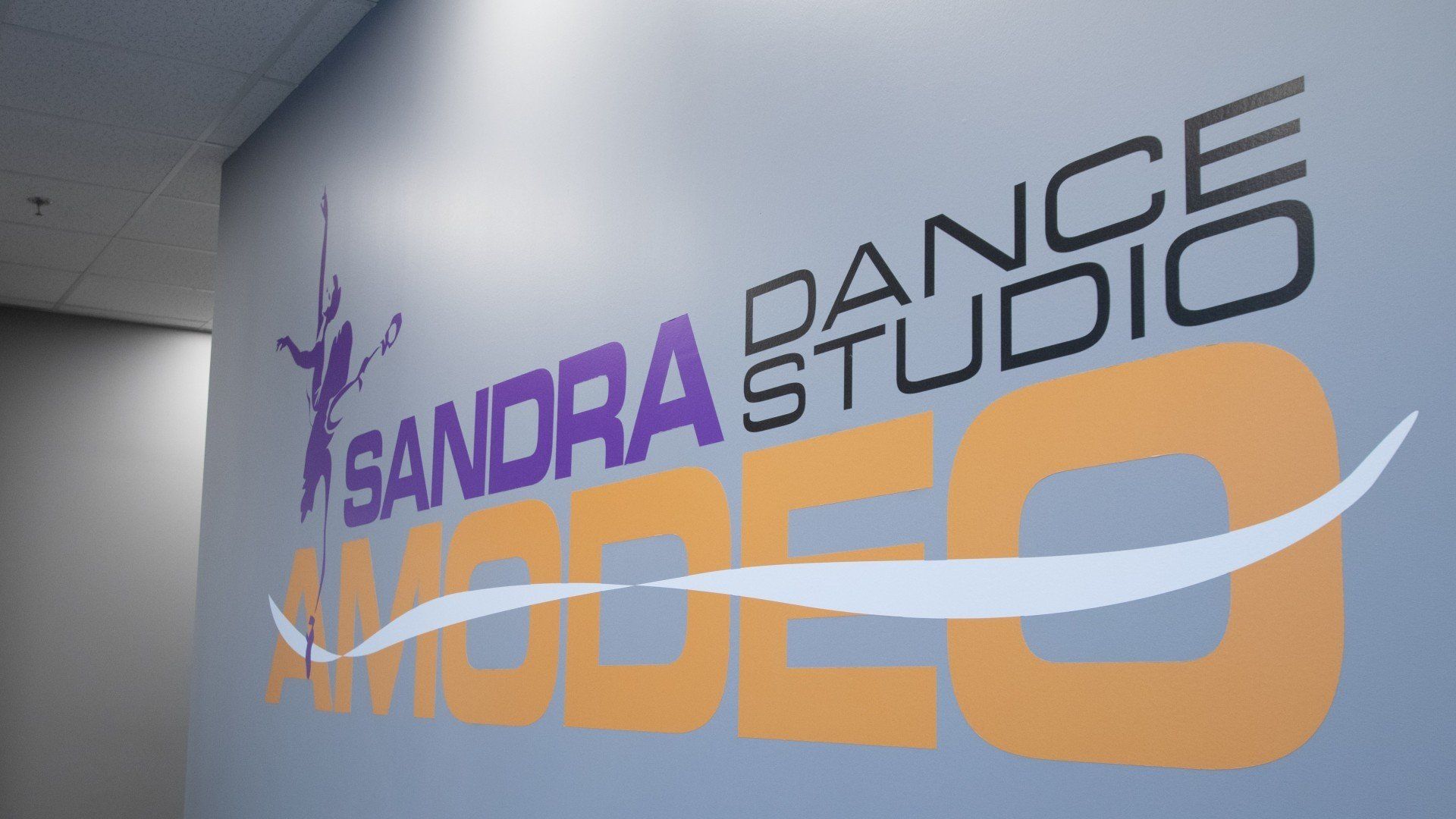 Sandra Dance Studio logo in purple and orange on a gray wall, with a white swoosh across “VIDEO.”