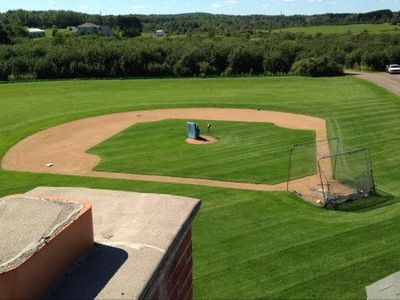 Shrubs — Mulching Around the Bushes in Hermantown, MN