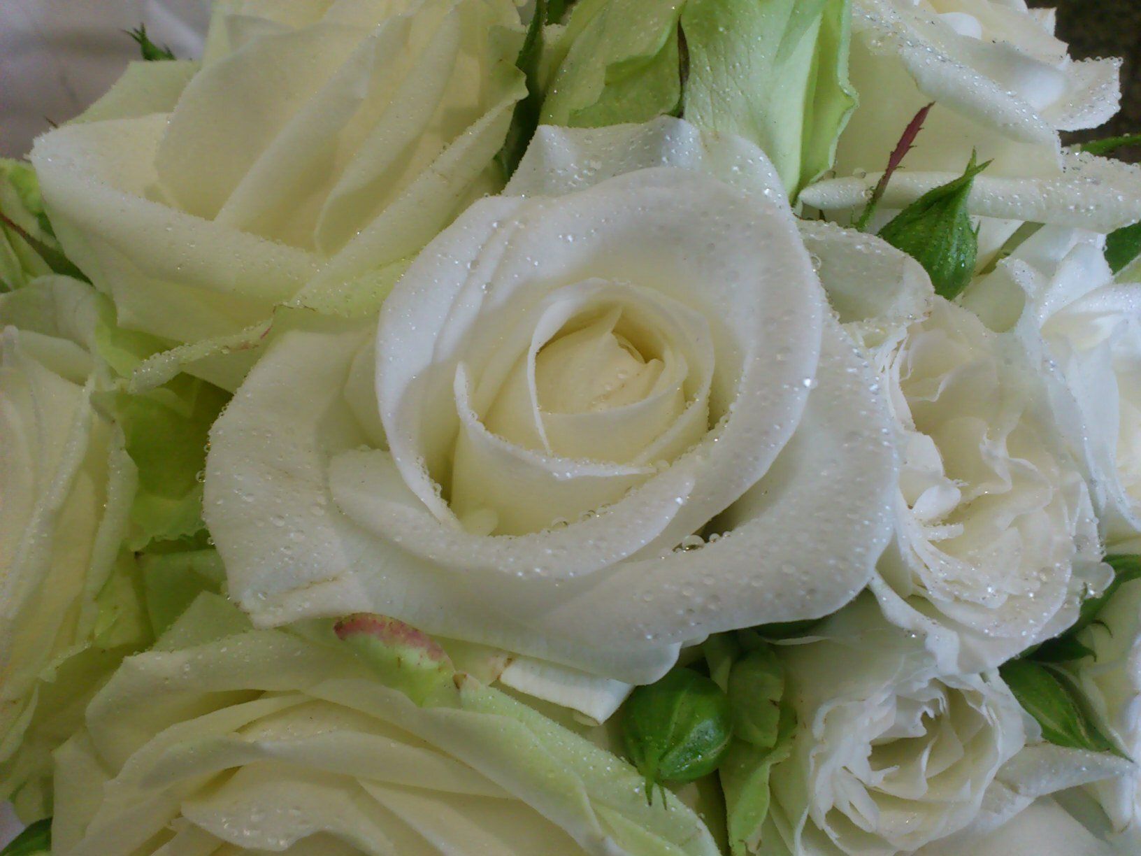 florart-lugano15