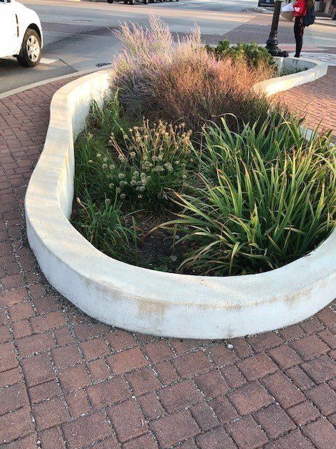 custom planter