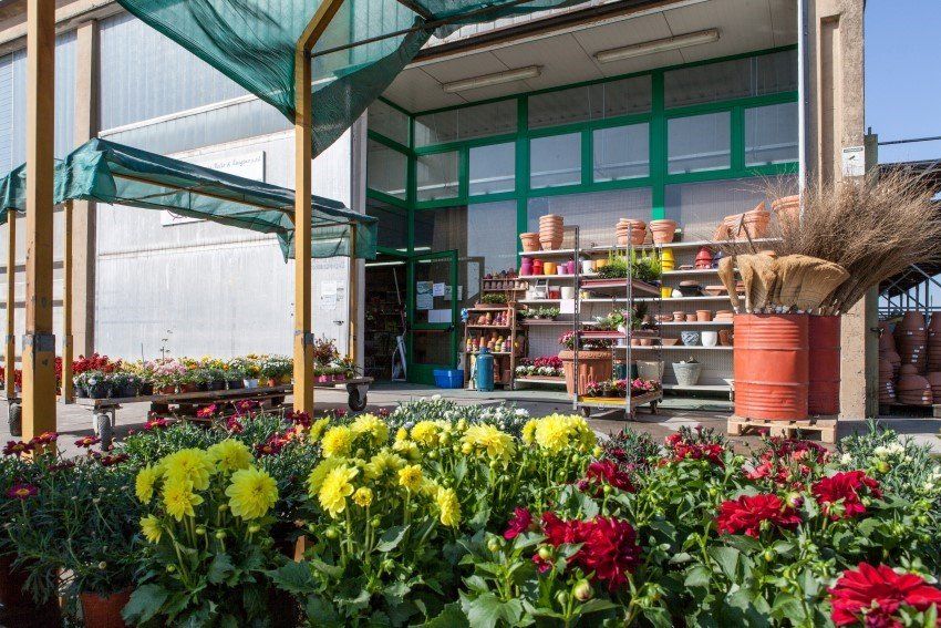Stabilimento Volpato Nello e Luigino a Loria