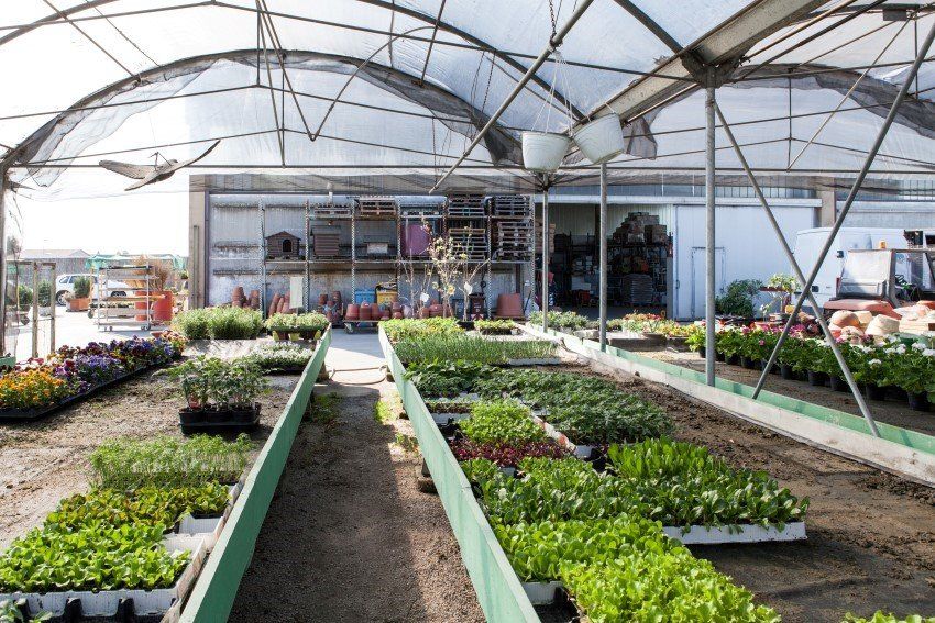 Stabilimento Volpato Nello e Luigino a Loria