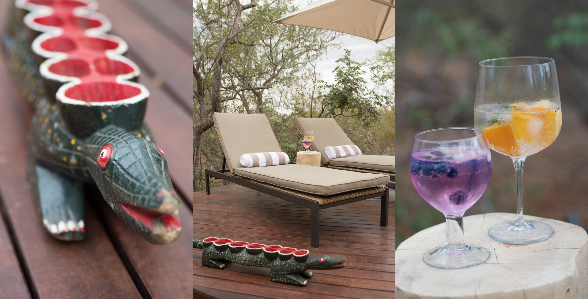 Bushwillow Villa | Luxury Safari Accommodation