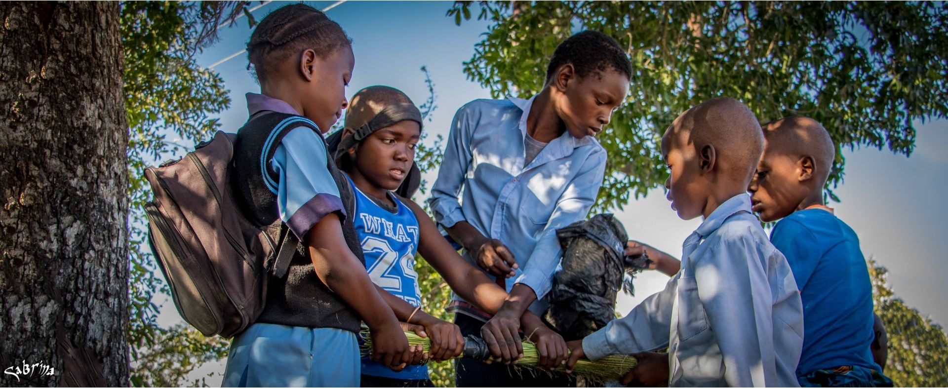 Bushwillow Villa | Nourish NPO