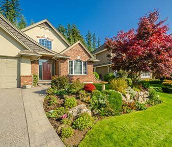 Landscape - Tree Care Company in Long Branch, NJ