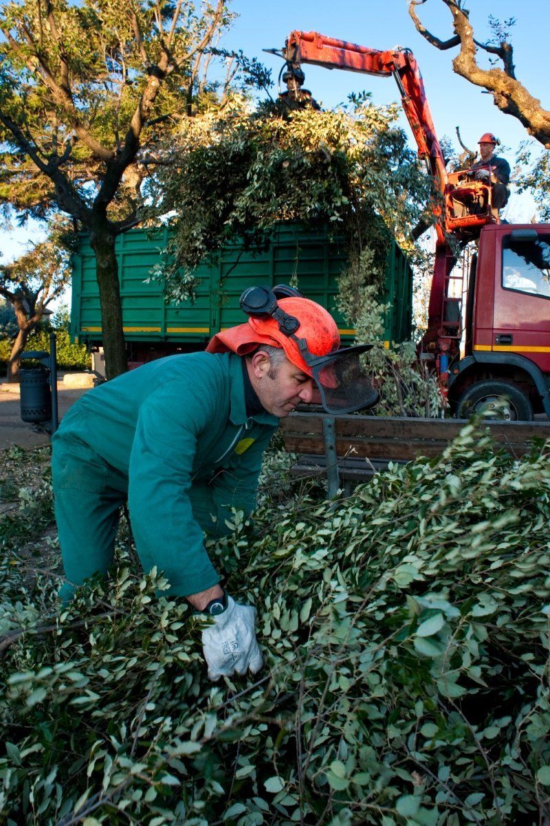 Sfalcio vegetazione infestante
