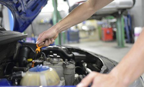 We change oil and filter, air filter, pollen filter, spark plugs, and fuel filter