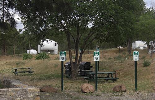 A group of picnic tables are sitting under a tree in a park.