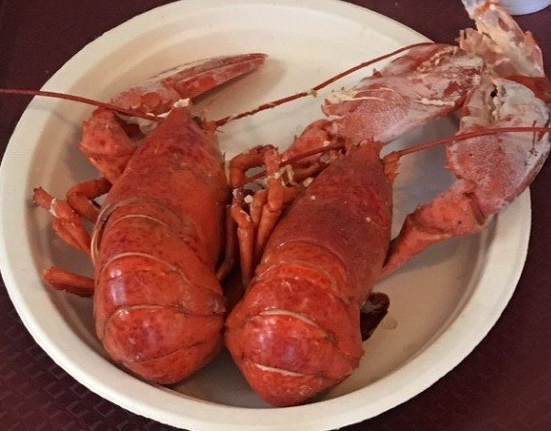 Seafood Catering — Variety of Seafood on Plate in Methuen, MA Seafood Catering — Variety of Seafood on Plate in Methuen, MA