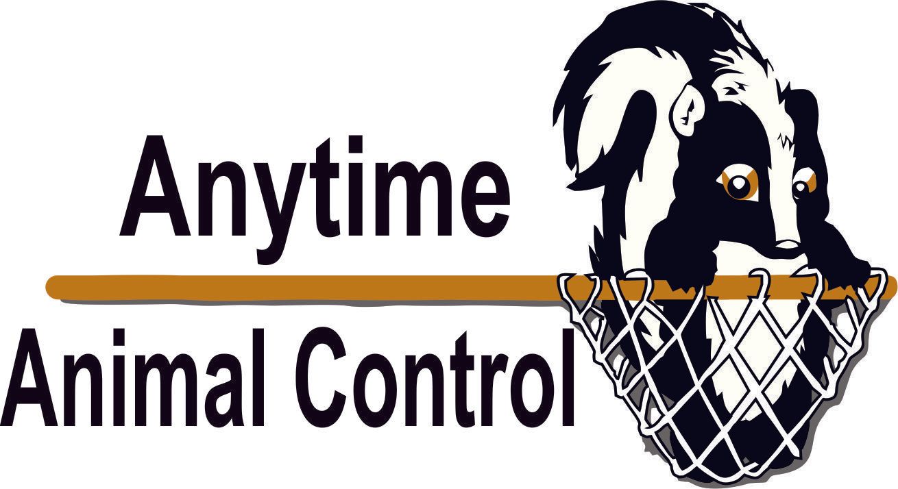 Anytime Animal Control logo with a black-and-white dog over a basketball hoop