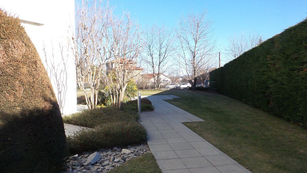 Esterni di edificio con prato verde e alberi spogli
