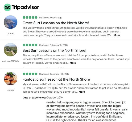 A screenshot of a tripadvisor review for surf lessons on the north shore.