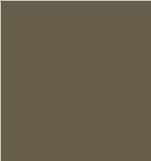 Dark Bronze Return Color