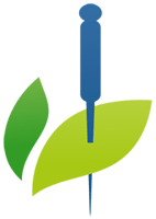 Holistic Acupuncture NYC