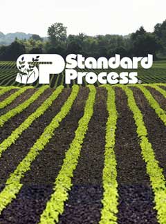 Standard Process NYC from Acupuncturist and Standard Process Practitioner Marc Bystock L.Ac.